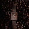 Ajanta Brown Dial Mesh Strap Watch | AWC128ESL/5